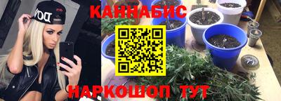 PSILOCYBIN Кулебаки