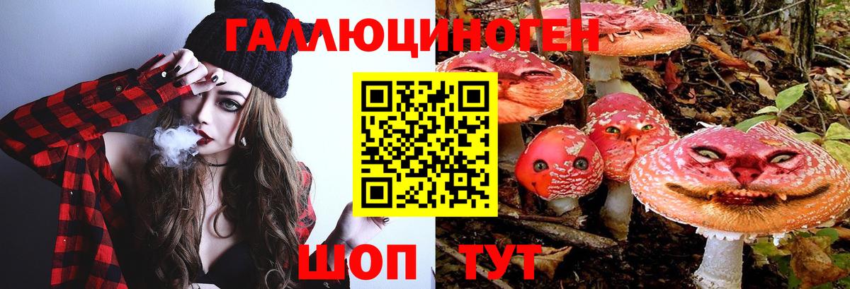 Златоуст  Псилоцибиновые грибы MAGIC MUSHROOMS  Вход с VPN 
